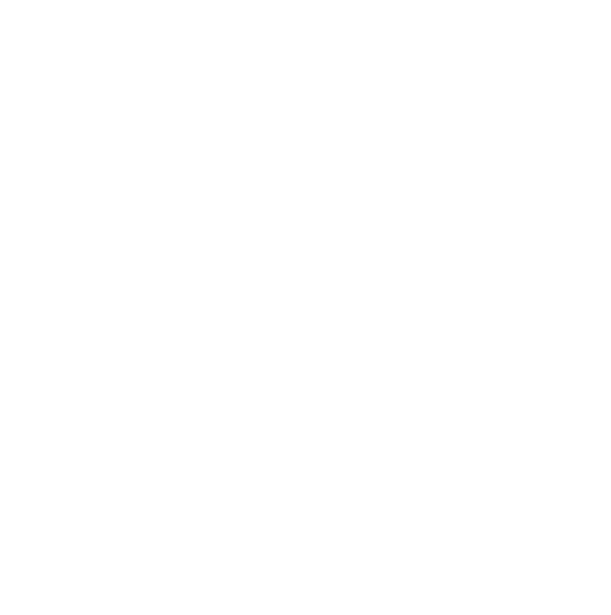 Patriot Spirit